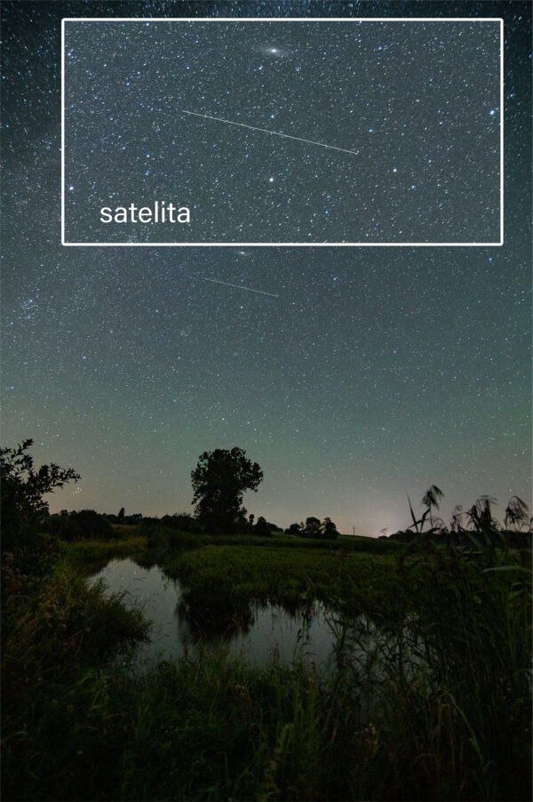 Satelita